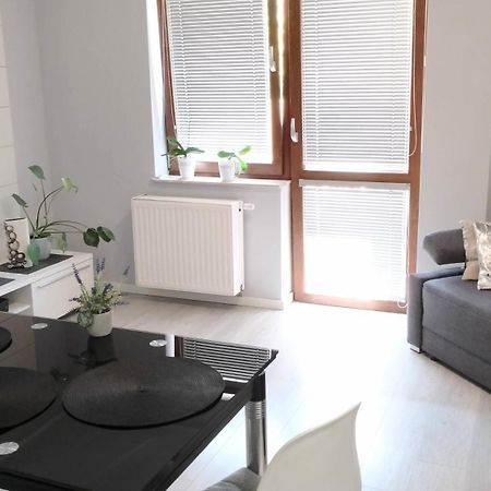 Apartament Zalesie Z Tarasem Lubin  Luaran gambar