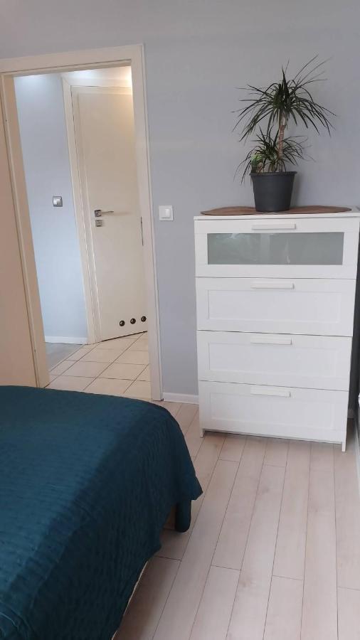 Apartament Zalesie Z Tarasem Lubin  Luaran gambar